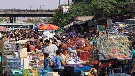 سوق الجمعة .. من تجارة الخردة إلى حديقة الحيوانات الشعبية سوق السيدة عائشة