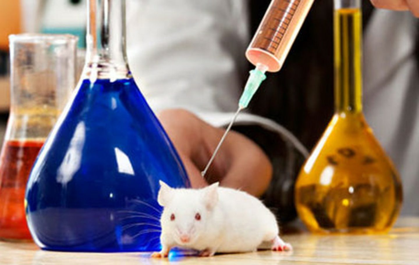 “التجارب على الحيوانات” المؤيدين: وسيلة هامة.. والمعارضين: استخدموا التكنولوجيا التجربة على فأر