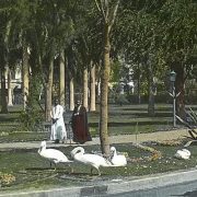 الأزبكية والعتبة الخضراء