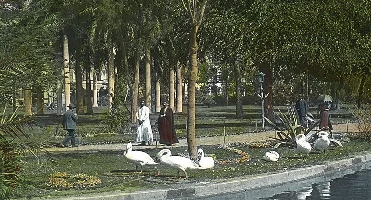 الأزبكية والعتبة الخضراء