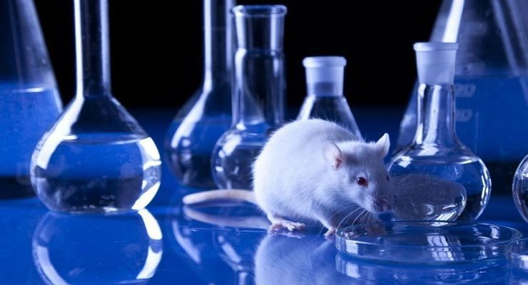 التجارب على الحيوانات