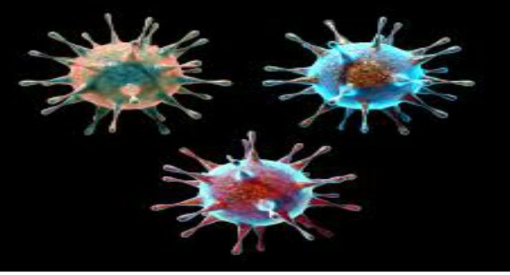 الفيروس ............................................... ماذا لو كنت فيروس؟!