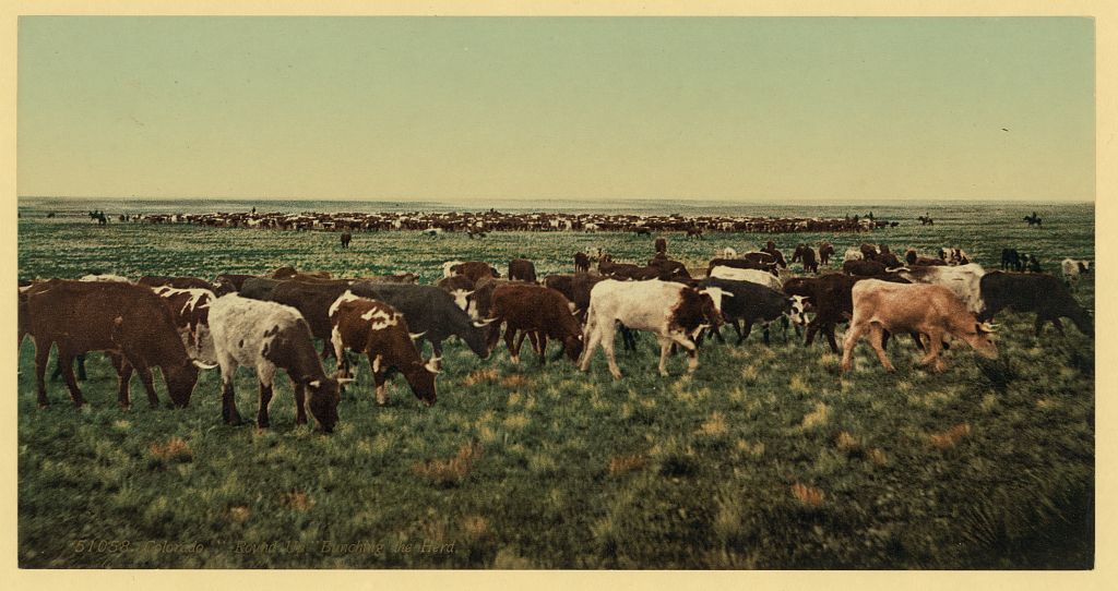 يوميات غرائب رمضان زمان (9) السماء تمطر أمطارًا لا تصل إلى الأرض الزراعة والري في ولاية كولورادو