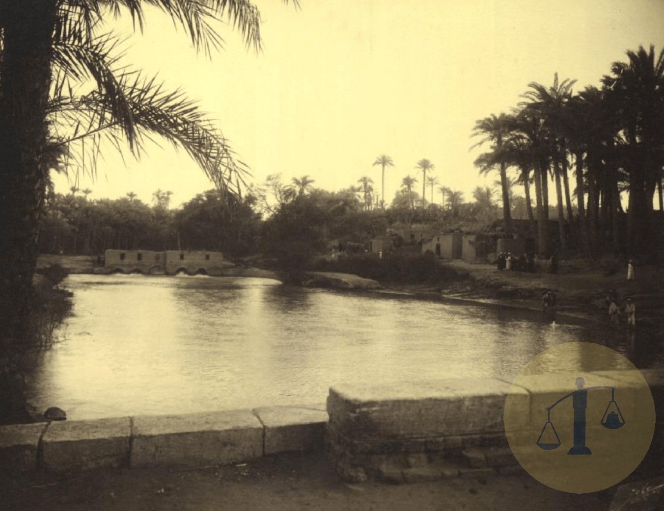 “القرين” حكاية قرية تحولت إلى بؤرة موت 10 آلاف مصري في 12 أسبوع المياه في قرية القرين