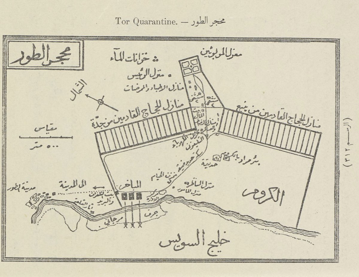 تاريخ العزل الصحي في مصر “قصة الطور الذي جعلنا نبهر العالم من 165 عامًا” خريطة محجر الطور