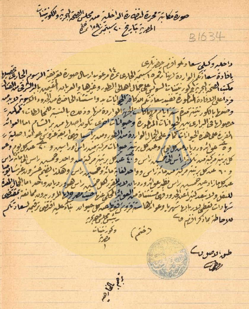 تاريخ العزل الصحي في مصر “قصة الطور الذي جعلنا نبهر العالم من 165 عامًا” خطاب من مجلس الصحة إلى الداخلية حول رسوم الحجر بالطور للجمال