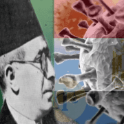 قوانين مواجهة الكارثة