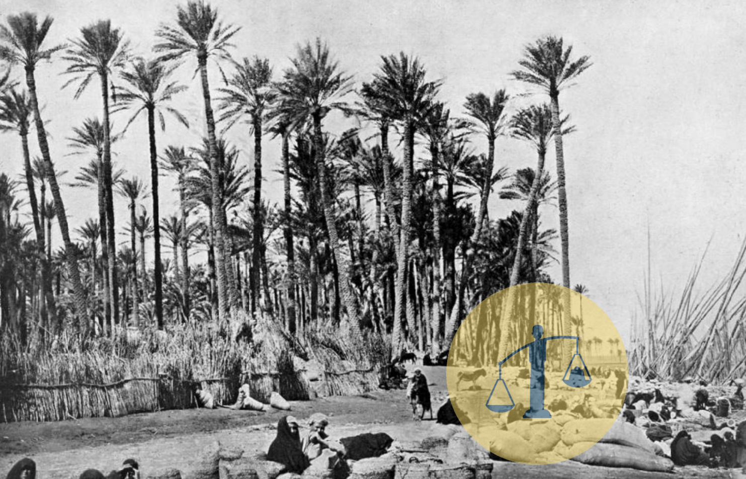 “القرين” حكاية قرية تحولت إلى بؤرة موت 10 آلاف مصري في 12 أسبوع بداية سوق البلح