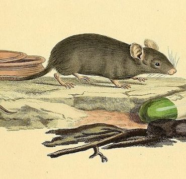 غرائب رمضان