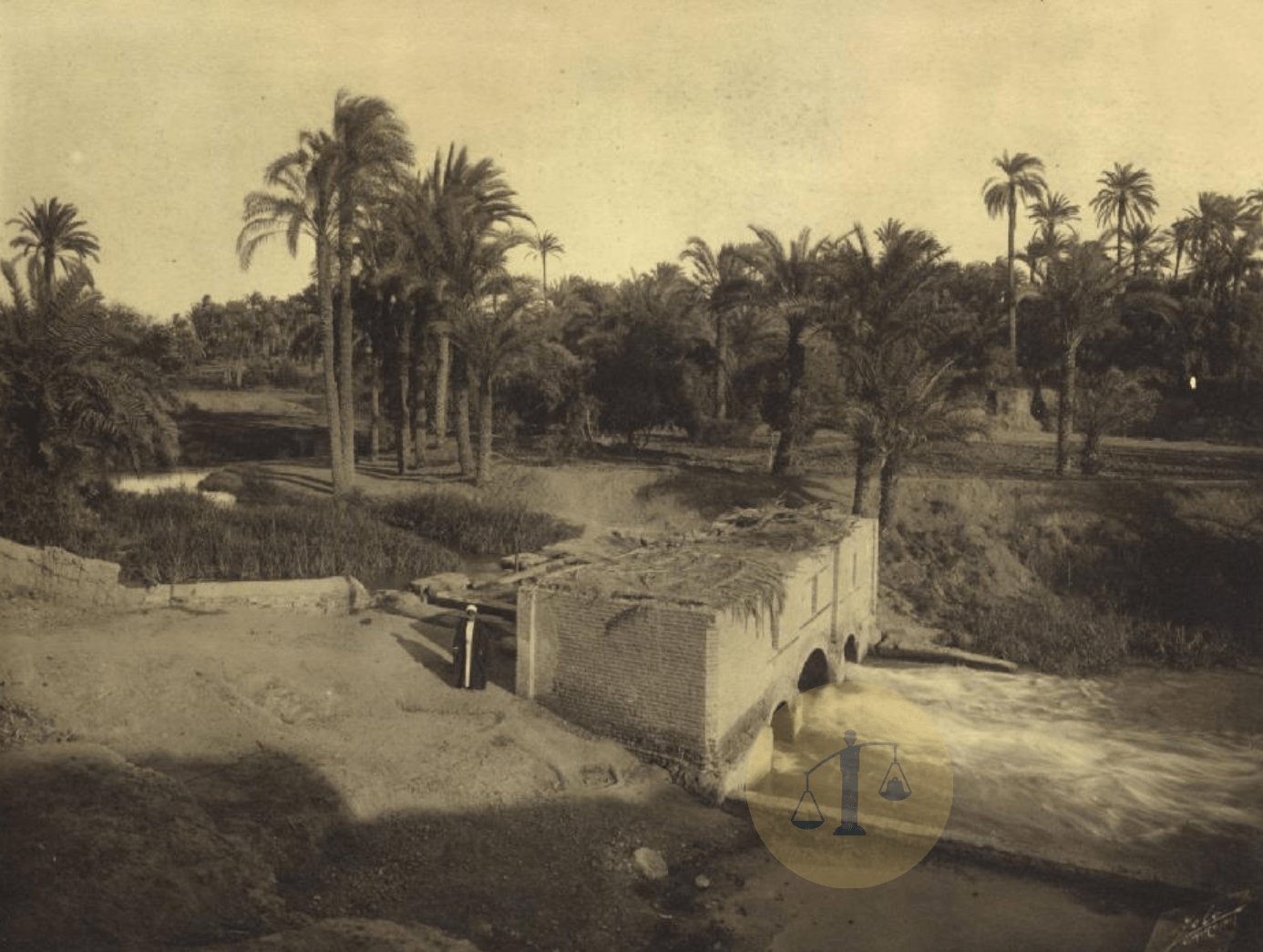 “القرين” حكاية قرية تحولت إلى بؤرة موت 10 آلاف مصري في 12 أسبوع قرية القرين