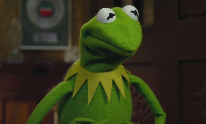 في الحظر .. ضفادع داخل رأسي! الحظر