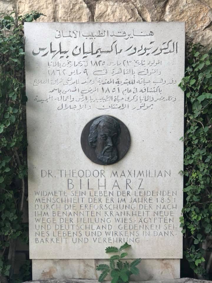 الأب الخفي لعراب تاريخ معهد الأورام “طبيب عالمي مات بالعدوى ومصر تكرمه إلى الآن” واجهة قبر بلهارس