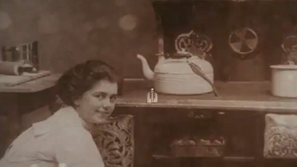 من وحي الأوبئة.. “ماري مالون” طاهية الموت التي نقلت الوباء من أحياء الفقراء لمنازل الأثرياء الأوبئة