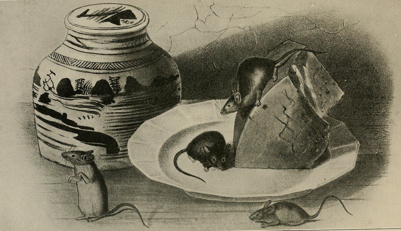 يوميات غرائب رمضان زمان (11) حين تسببت “عضة فأر” في قتل عائلة بأكملها فأر