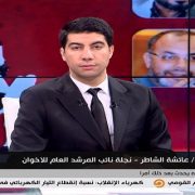 حسام الشوربجي