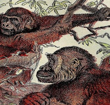 غرائب رمضان