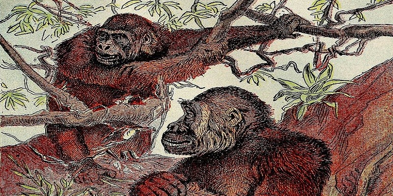 غرائب رمضان