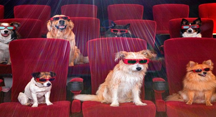 كلاب السينما