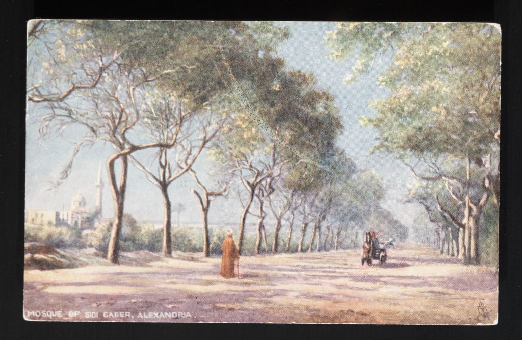 يوميات غرائب رمضان زمان (20) السماء تمطر طيور السمان في الإسكندرية شوارع سيدي جابر