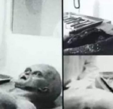 الكائنات الفضائية