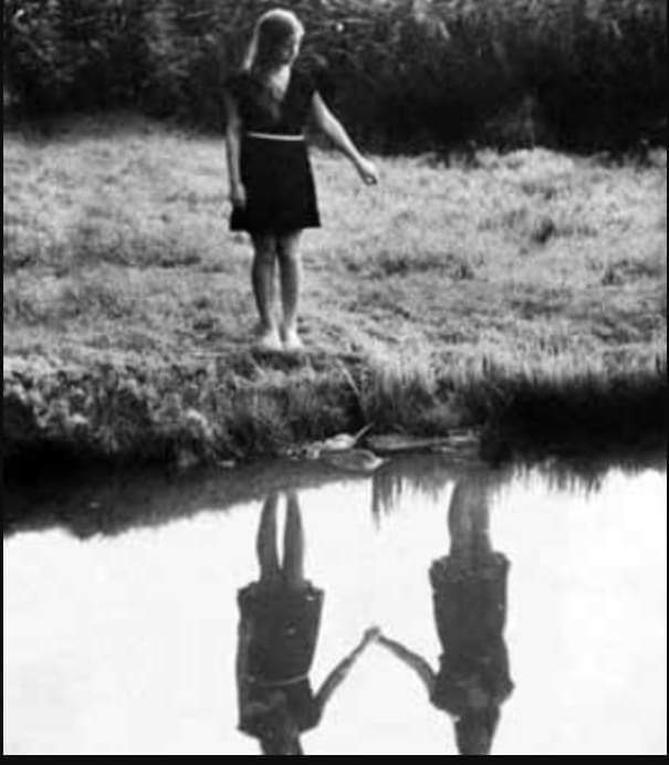 “التولبا”.. صديق الطفولة الخيالي في عالم ما وراء الجسد التولبا