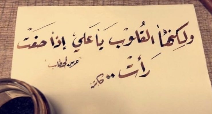 لكنها القلوب يا عليّ إذا صفت رأت