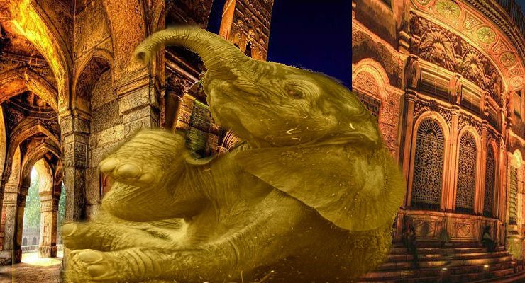 فيل القاهرة الفاطمية - تعبيرية