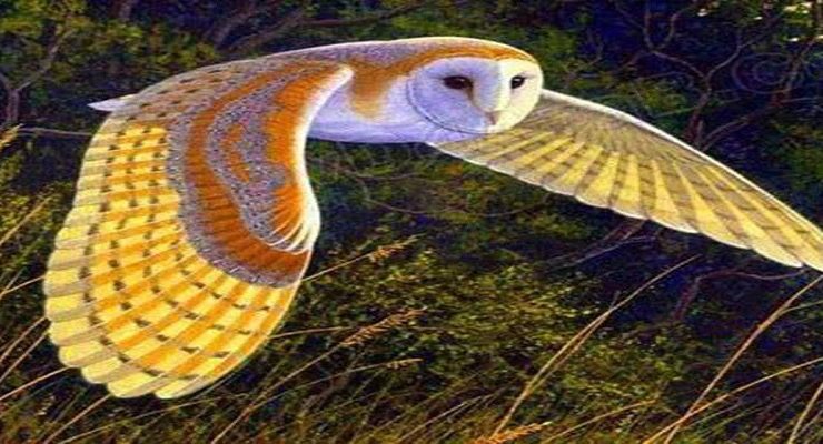 الإغريقيون