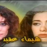 حماية الهاتف من الحرارة
