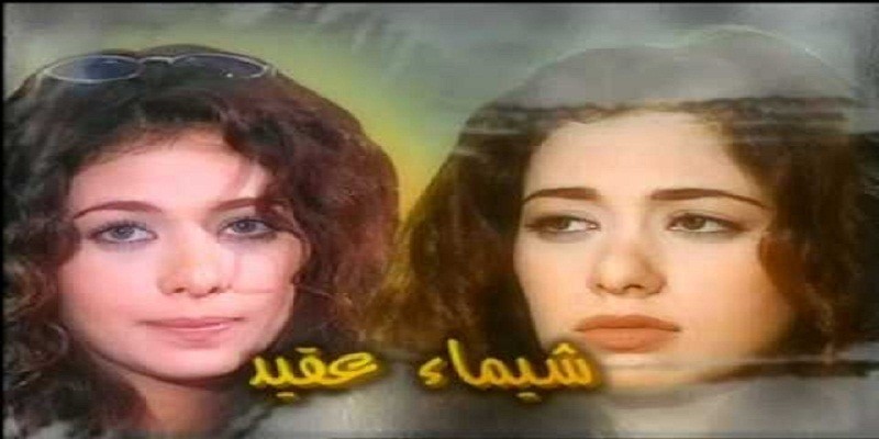 الوسط الفني