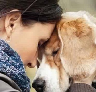 الدليل الكامل لكيفية نقل صور ومقاطع فيديو فيسبوك إلى تطبيق صور جوجل نقل صور فيسبوك إلى جوجل