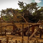 قراءة الباركود بالهاتف الذكي