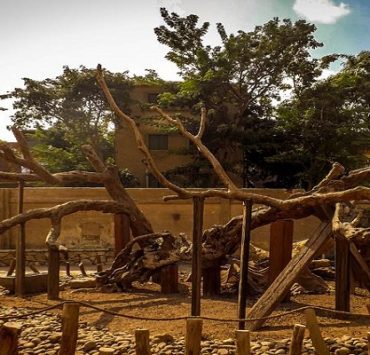 كيف أصبحت فتاة مراهقة مخترعة الخيال العلمي الحديث؟ الخيال العلمي