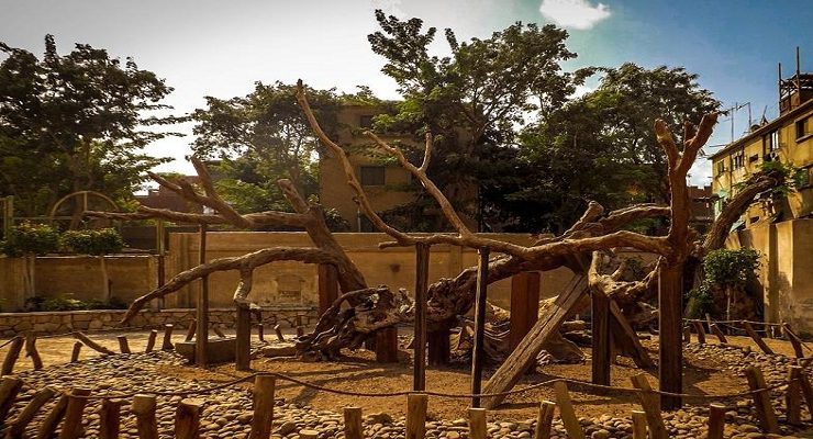 السيدة سكينة