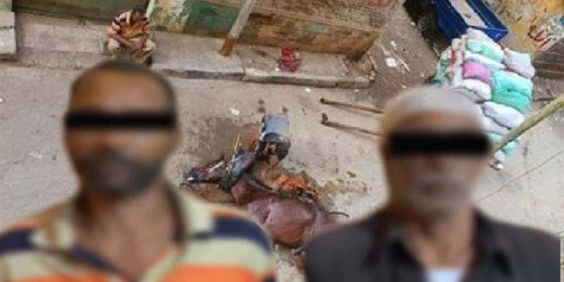 الحصان القتيل في مصر