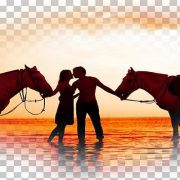 الحصان والرومانسية