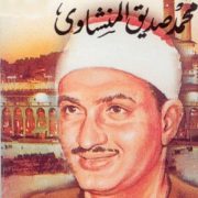 محمد صديق المنشاوي