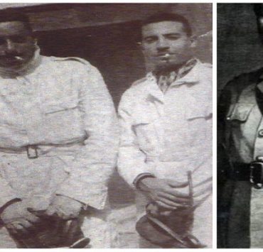 تاريخ القوات الجوية المصرية