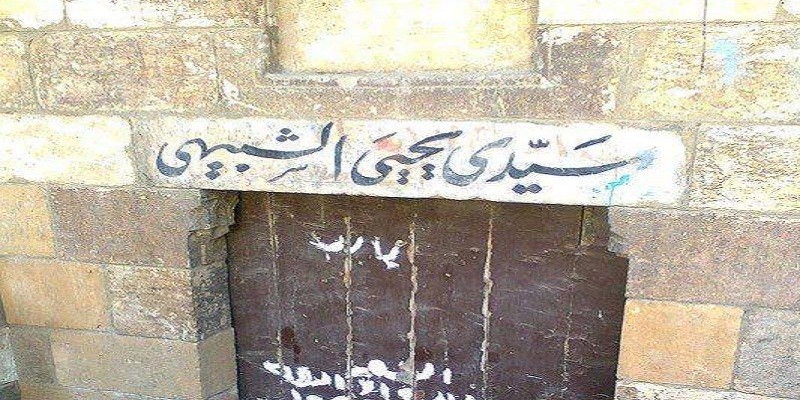 يحيى الشبيه