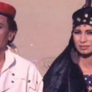 شمس الزناتي