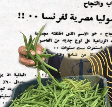 توفيق عكاشة