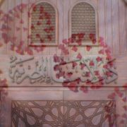 فتاوى كورونا في مصر