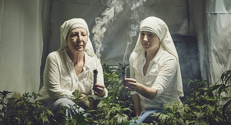 قصة راهبات يجنين ما يقرب من مليون جنيه إسترليني من الحشيش سنويًا