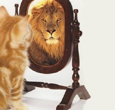 ماري إيفانس