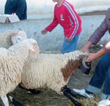 تطيب الكعبة وغسلها “لماذا تقلصت عدد المرات إلى اثنين بدلاً من ثلاثة ؟” عيد