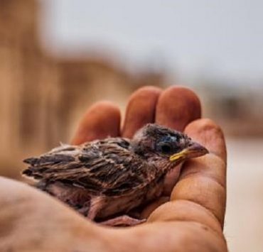 “مش بتسمع الأم تقول لابنها يكفيك شر ساعة الغفلة” عن الصلاة التي يمكن أن نقاوم بها ونوس ؟ أنا ساعة الغفلة