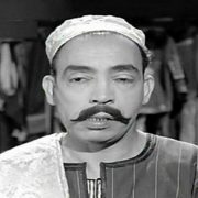 التحديث إلى iOS 14