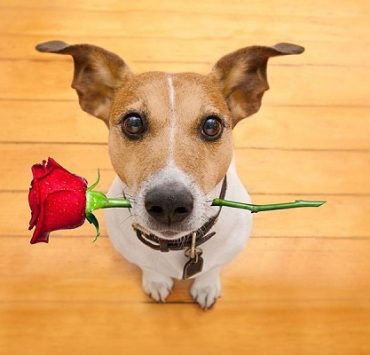 بعد موجة أندية الاستثمار .. هل سينافس الأهلي والزمالك على المركز الثالث والرابع؟ الأهلي والزمالك