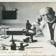 المنظومة الصحية