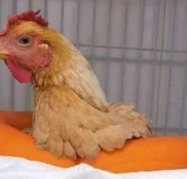 بين السما و الأرض